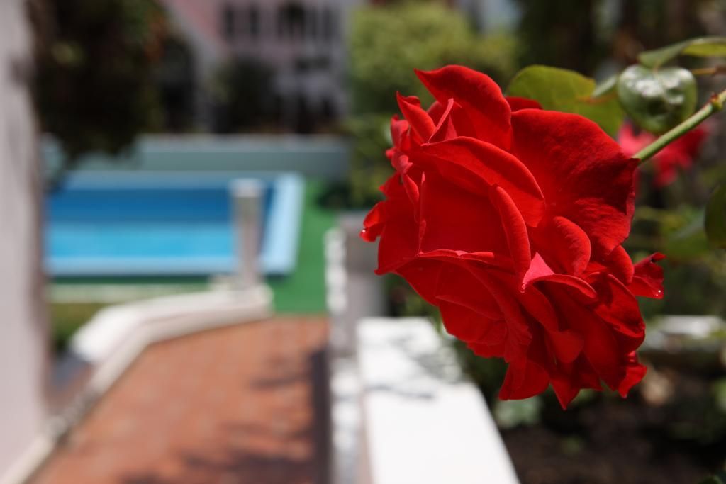 Bay 4* Caniço